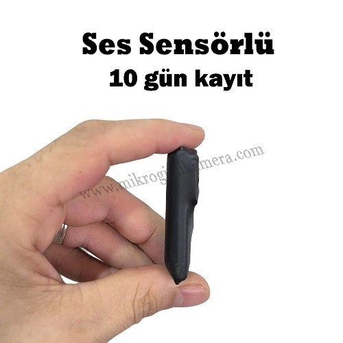 10 Gün Ses Kayıt