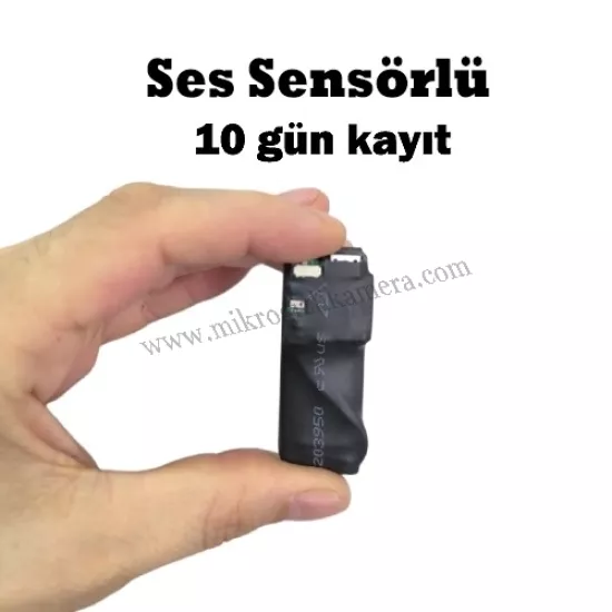 10 Gün Ses Kayıt